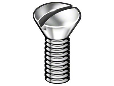 Headlight Screws/ Ss