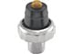 Oil Pressure Sender/ Light