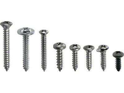 Interior Trim Screw Kit/ Fairlane 500 Convertible