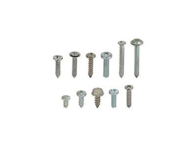 1966 Ford Fairlane and Torino Interior Trim Screw Kit - 2 Door Sedan