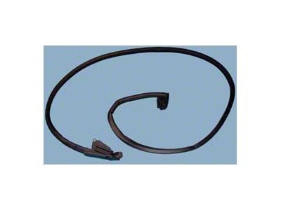 Door Main Weatherstrip, Convertible, Right, 1969-1975 (Sting Ray Convertible)