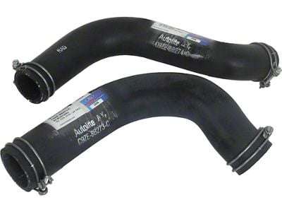 1969 Mustang Radiator Hose Set with Script for 24 Radiator, 302/351W V8 Including Boss