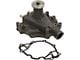 1970-1979 Ford Thunderbird Water Pump, 302/351W V8