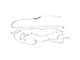 Bronco S/S Brake Line Set,66-67