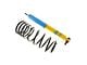 Bilstein B12 Pro-Kit Suspension Handling Kit (98-02 Firebird)