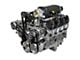 BluePrint Engines ProSeries LS 427 C.I. 800 HP Deluxe Dressed Fuel Injected Supercharged Crate Engine with Polished Pulley Kit