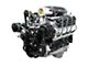 BluePrint Engines ProSeries LS 427 C.I. 800 HP Deluxe Dressed Fuel Injected Supercharged Crate Engine with Black Pulley Kit