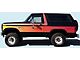 Free Wheeling Chromatic Stripe Kit; Reflective (1981 Bronco)