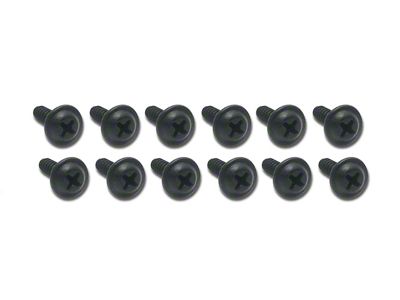 CA Grille Mount Screw Set; 12-Piece (68-69 Corvette C3)