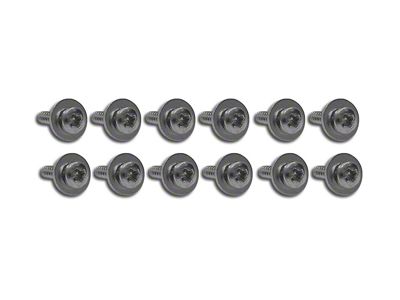 CA Kick Panel Screws; 12-Piece Set (65-67 Corvette C2)