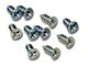 CA Outer Window Seal Screw Set (63-67 Corvette C2)