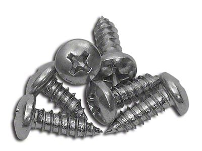 CA Outer Door Window Trim Mold Screws (69-82 Corvette C3)