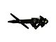 Standard Interior Door Window Regulator; Passenger Side (68-69 Camaro w/ Manual Windows)