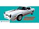 Z28 Grille and Fuel Door Domed Decal Emblem Kit; Silver (80-81 Camaro)