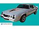 Z28 Stripe Kit with Solid Fender Decal; Dark Green/Green (1978 Camaro Z/28)