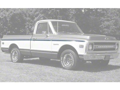 Chevy Or GMC Truck Longhorn, Fleetside Upper Molding Kit With Metal And Adhesive Clips 1969-1972