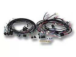 Chevy Truck Instrument Cluster Wiring Harness, Without Gauges, 1964-1966