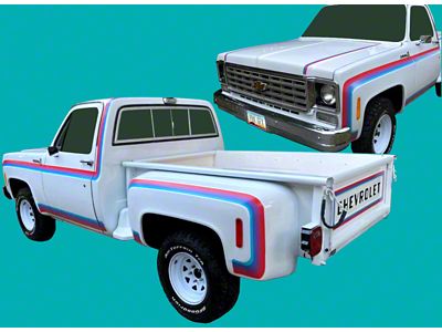 Stepside Stripe Kit; Multicolored (73-87 C10)