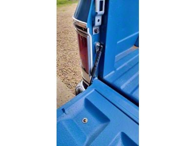 Tailgate Saver Strut (81-87 C10, K10)