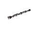 Comp Cams Drag Race 284/296 110 LSA Solid Roller Camshaft (67-74 Big Block V8 Corvette C2 & C3)