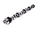 Comp Cams Big Mutha' Thumpr 243/257 Hydraulic Roller Camshaft (69-73 351C V8 Mustang)