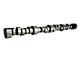 Comp Cams Magnum 244/244 Hydraulic Roller Camshaft (67-72 Big Block V8 Camaro)