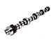 Comp Cams Magnum 224/224 Hydraulic Roller Camshaft (77-79 5.8L Thunderbird)