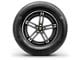 Continental ProContact TX Tire (P195/65R15)