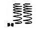 Detroit Speed Lowering Springs; Black (82-92 Firebird)