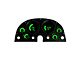 LED Digital Bargraph Gauge Panel; Green (63-67 Corvette C2)