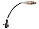 Edelbrock 36013 Oxygen Sensor 4-Wire Switching