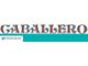 Caballero Tailgate Decal; Blue/Bright Blue (78-87 Caballero)