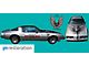 10th Anniversary Hood Bird and Wingtips Decal; Silver (1979 Firebird)