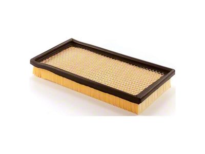 Air Filter (93-97 Firebird w/o Ram Air Intake)