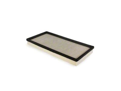 Air Filter (98-02 Firebird)