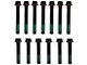 Cylinder Head Bolt Kit (95-02 3.8L Firebird)