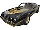 Firebird Decal Set, Trans Am, Special Edition 1978-1980