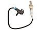 O2 Oxygen Sensor; Upstream (97-02 3.8L Firebird)