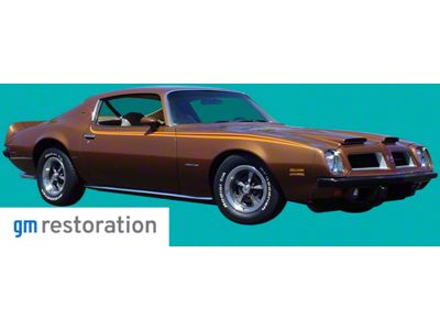 Stripe Kit; Black/Dark Orange/Black (1973 Firebird)