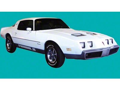 Turbo Formula Stripe Kit; Gold (80-81 Firebird)