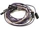 Firebird Wiring Harness, Single Rear Speaker, 1978-1981