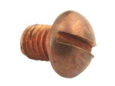 Condenser Screw and Washer Set (28-31 Model A)