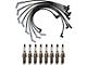 9-Piece Ignition Kit (93-95 F-150 Lightning)