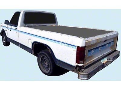 Explorer Stripe Kit; Chamois (1982 F-150, F-250)