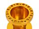 Steering Wheel Hub; Gold (92-97 F-150, F-250, F-350)