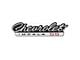 SS Chevrolet Grille Emblem,Impala, 1966