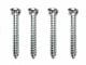 Armrest Screw Set (59-72 Biscayne; 62-72 Impala)