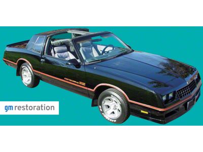 SS Stripe Kit; Black/Silver (85-86 Monte Carlo)