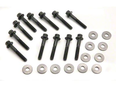 Mr. Gasket Intake Manifold Bolt Set; Black (77-79 V8 Thunderbird)