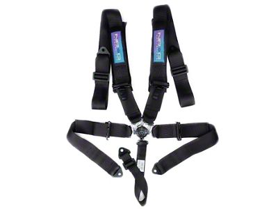 NRG Innovations 3-Inch 5-Point Camlock Harness Belt; Black (Universal; Some Adaptation May Be Required)